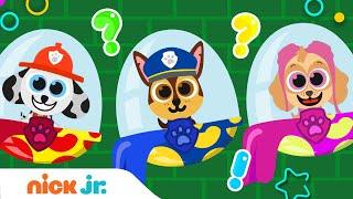 Know Your Nick Jr. #8  Superhero Edition w/ PAW Patrol!  | Nick Jr.