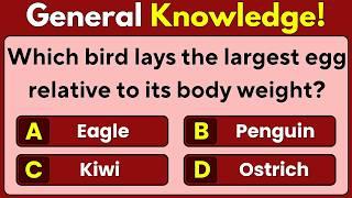 Mixed Trivia | General Knowledge | General Knowledge Quiz | Trivia Quiz | Trivia | Quiz | Pub Quiz