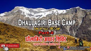 Dhaulagiri Base Camp Myagdi || Sungurthala-DBC || Part-2 Raghuganga Rural Municipality-7 Chimkhola