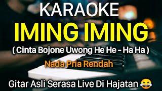  IMING IMING Karaoke ( Cinta Bojone Uwong He He Ha Ha )  || Nada Pria Rendah || Rita Sugiarto