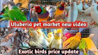 Uluberia pet market new video ।। Exotic birds price update ।।