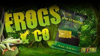 Exo Terra Frogs & Co - Sub Stratum