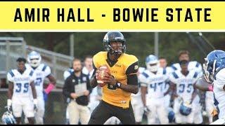 Amir Hall, QB, Bowie State | 2019 NFL Draft Highlights | Draft Diamonds