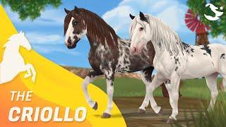 The Criollo  | Star Stable Horses