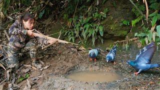 hunt wild pigeons, build a kitchen to make a sturdy shelter, survival alone