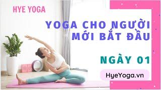 Yoga Cho Người Mới Bắt Đầu | Hye Yoga