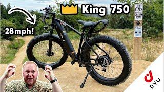 DYU King 750 Fat Tyre Electric Bike