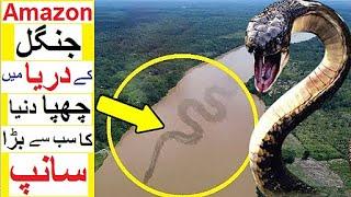 100 feet long Monster Snake of Amazon Jungle - Does it really Exist?