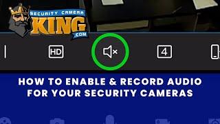 How to Record and Play Back Audio  for your Security Cameras