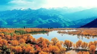 Beautiful Uyghur Relaxing Music for Stress Relief • Relax, Sleep, Meditate, Study