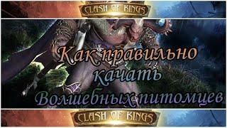 Clash of Kings узнай как быстро поднять проценты за счет питомцев! Обзор нового героя Афина.