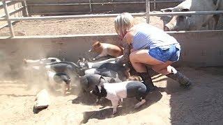 Bacon.. The Beginning. Picking up our new piglet at The Crouch Ranch