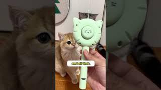 This  All-in-1 Cat Brush  is literally ALL IN ONE  #catshorts