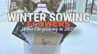 Flower Seeds I’m Winter Sowing in 2024