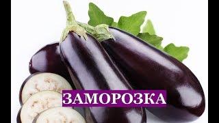 Заморозка БАКЛАЖАНОВ на зиму. Три проверенных способа!!!