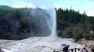 Lady Knox Geyser - New Zealand