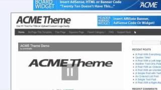 ACME Wordpress Theme - Demo