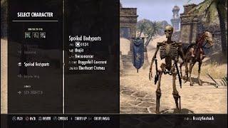 ESO| A Commentary on an Unplayable game. Literally.