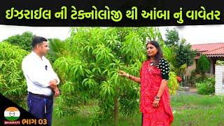 ઓસ્ટ્રેલિયા કૃષિનો અભ્યાસ કરી ચાલીસ હજાર આંબા નું વાવેતર કર્યું ।। ઈઝરાઈલ ની ટેક્નોલોજી