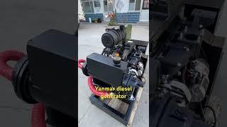 Yanmar brand diesel generator 20kw for sale #yanmarengine #yanmar 4Tvn98