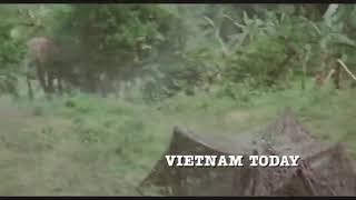 Best Action Film Full 2021 ll movie vietnam new 2021