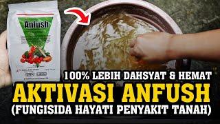 RAHASIA MEMPERBANYAK TRICHODERMA & GLIOCLADIUM ANFUSH, Agar tanaman subur & bebas penyakit tanah