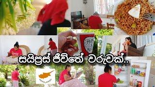 සයිප්‍රස් ජිව්තේ වරුවක් ..| meal prep | cleaning | day in my life | sinhala cyprus  @Sithumemo