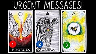 Urgent Messages From Your Spirit Guides? ⭐️ pick a card 🃏tarot card reading