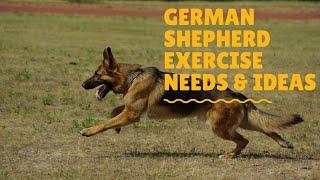 German Shepherd Exercise Needs and Ideas