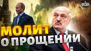 Лукашенко внезапно нагрянул к Путину и молит о прощении: разбор тайной встречи, судьба Коленьки