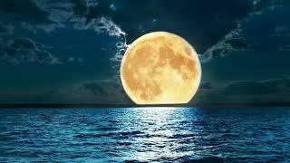 Moon No Copyright Video | Full Moon Copyright Free Videos | Couple Free Stock Videos | Free Footage