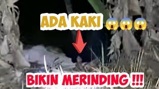 PENAMPAKAN HAMPIR PUNAH||WAKTUNYA MAKAN BESAR!!!