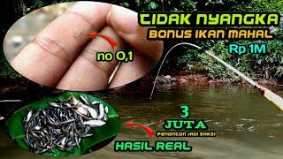 Cara ngikat mata kail kecil langsung tes di sungai | 100% jitu lihat saja hasil nya (micro fishing)