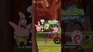 SpongeBob SquarePants: Show Summary |#shorts #spongebob