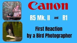 Canon R1 and R5II Announcement - Initial thoughts by a bird photographer
