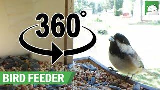 Bird feeder in 360-degrees - Recorded with Gear 360