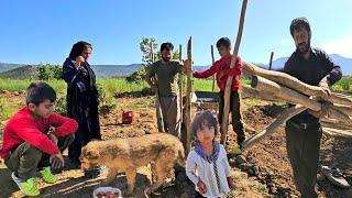 joint the efforts of the Ali family in buying wood to protect and beautify a green garden