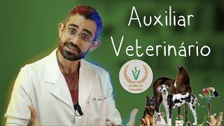 Tudo sobre o curso de AUXILIAR VETERINÁRIO