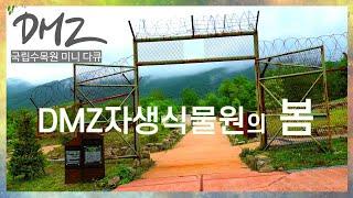 [4K 미니 다큐] DMZ자생식물원의 봄