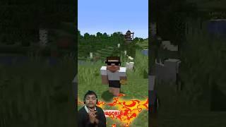 What Minecraft Mobs do when we left the game... #minecraftvideos #minecraft