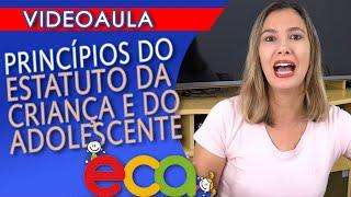 PRINCÍPIOS DO ESTATUTO DA CRIANÇA E DO ADOLESCENTE #292