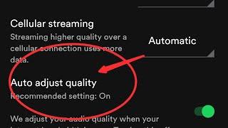 Spotify me auto adjust quality kaise on kare, how to on auto adjust quality in Spotify