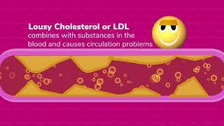 HDL vs. LDL | Health Channel