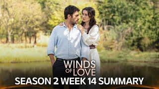 Winds of Love Season 2 Week 14 Summary  | Rüzgarlı Tepe 2. Sezon 14. Hafta Özeti