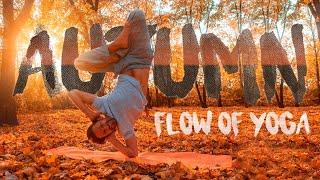 Autumn Flow of Yoga