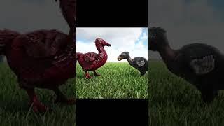 ALPHA DODO VS TERROR BIRD ARK SURVIVAL EVOLVED - SHORTS - ARK SHORTS