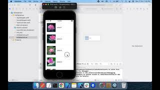 How To Create | Xib | In Table Cell | TableView in iOS