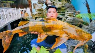 GIANT RIVER MONSTER from Northwest Vietnam – EPIC Crispy Fish Hotpot You Must Try! | SAPA TV