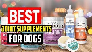 Top 5 Best Joint Supplements for Dogs Review in 2022