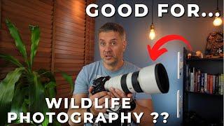 SONY 70-200 F2.8 GM II Lens Review - Good for WILDLIFE Photography?